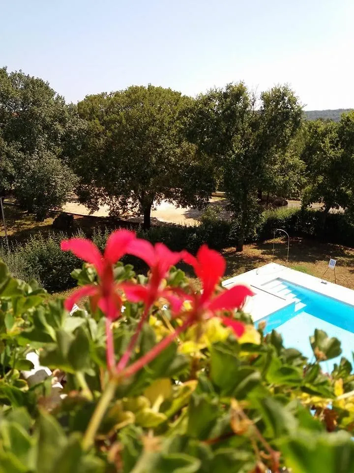 Pansion Oliva Hotel Krnica Gasthuis
